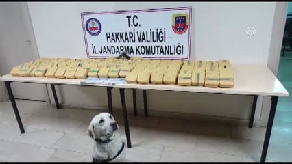 Hakkari'de 73 Kilo 600 Gram Eroin Ele Geçirildi