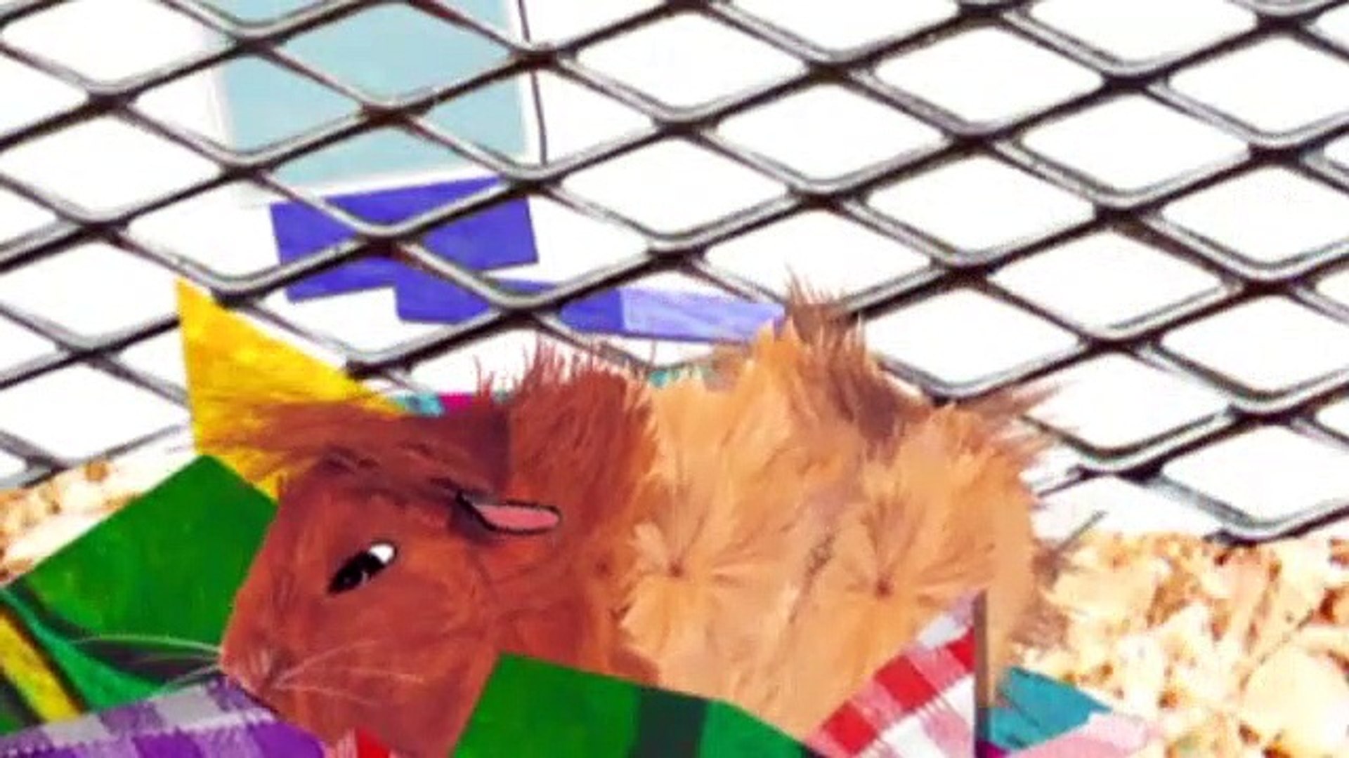 ⁣Charlie and Lola  S2E16 I Completely Know About Guinea Pigs