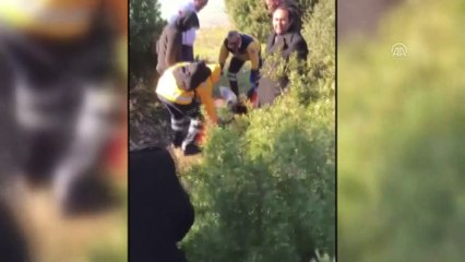 Düzensiz göçmenleri, aralarında çıkan kavga yakalattı - MUĞLA