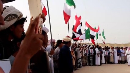 لجنة اعتصام المهرة: تصرفات السعودية تزعزع استقرار المحافظة والبلاد