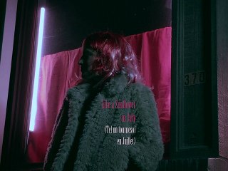 Tel UN TOURNESOL EN JUILLET