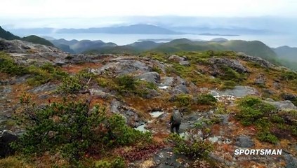 MeatEater.S01E01.Into.the.Clouds-Sitka.Blacktail.Deer.HDTV.x264