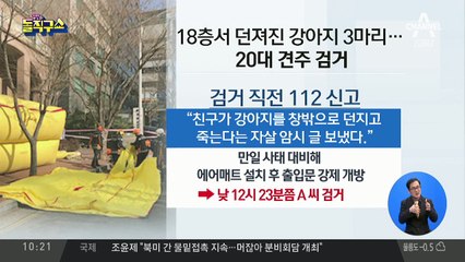 18층서 애견 3마리 던진 견주…연인과 다투다 우발적?