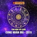 FB Tình hình sức khoẻ của cung Nhân Mã khi bước sang năm 2019