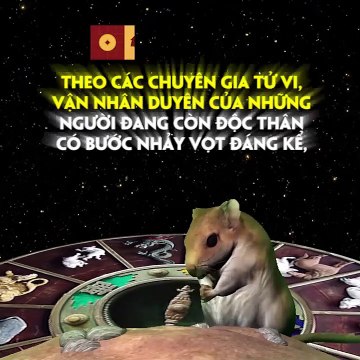 FB Vận trình tình duyên của tuổi Tý khi bước sang năm Kỷ Hợi 2019