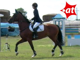 Beatrice Wetschka, Springreiten, Burgenland (2007-010)
