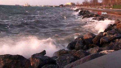 İDO ve BUDO seferleri iptal edildi