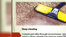 Buy Professional Carpet Cleaning Machines in Adelaide With The Right Features