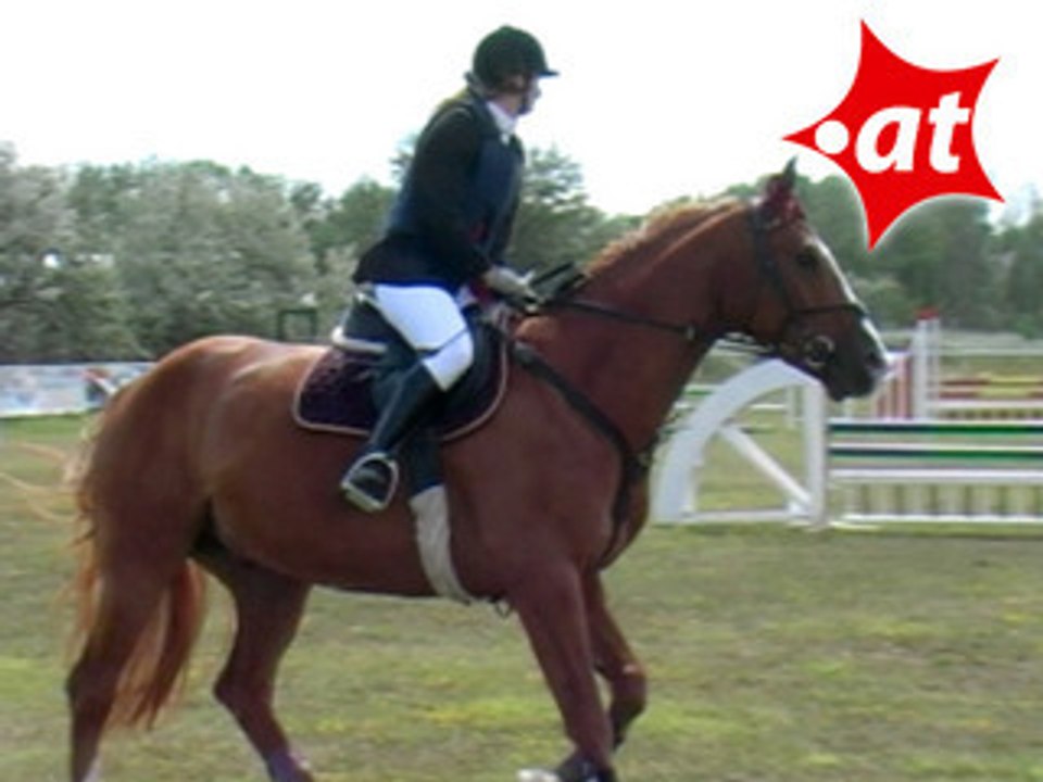 Susanne Uhlir, Springreiten, Burgenland (2007-011)