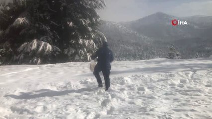 Скачать видео: Jandarma, Kar Yağışı Nedeniyle Yiyecek Bulmakta Zorlanan Sokak Hayvanları İçin Dağlara Ekmek Bıraktı