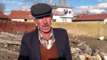 Bu Köyde Her Evde Kaz Yetiştiriliyor