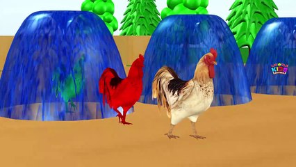 Wild Animals Are Transformed Into Domestic  Animals