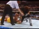 undertaker vs hulk hogan survivore series 1991
