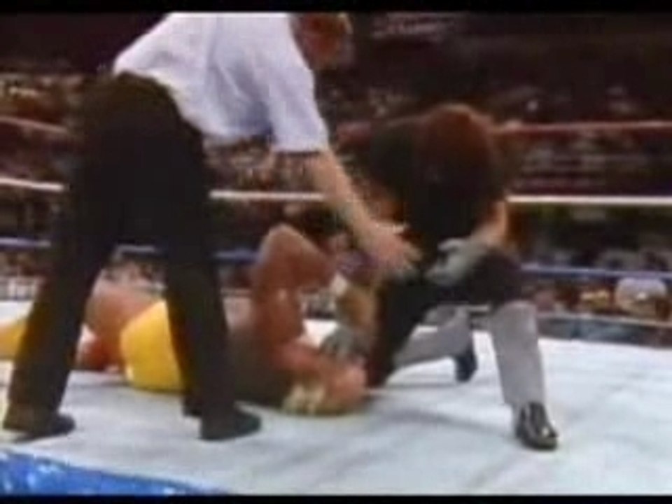 undertaker vs hulk hogan survivore series 1991