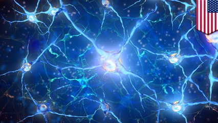 분자 하나로, 어떠한 종류의 치매를 앓을 것인지 예상할 수 있을지도