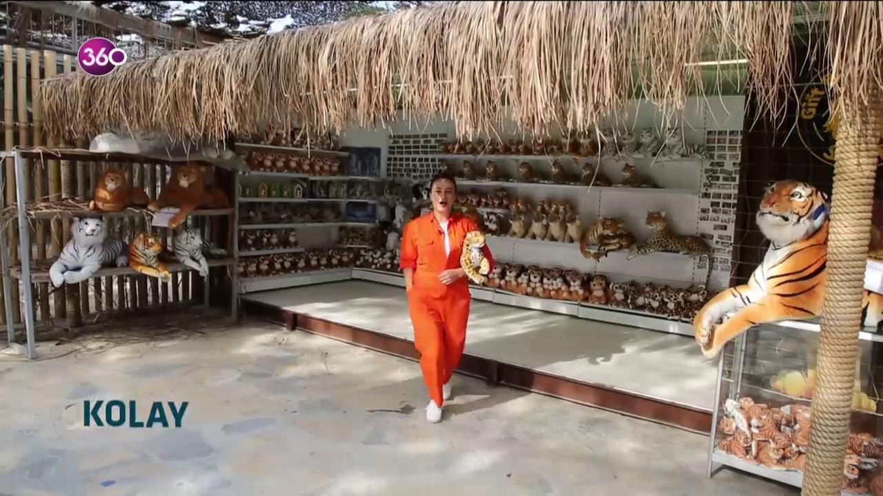 Kolay Mı Sandın?