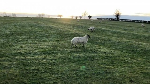 UK farmers face uncertainty as parliament prepares to vote on Brexit deal