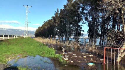 Amik Ovası'nda tarlalar sular altında (1) - HATAY