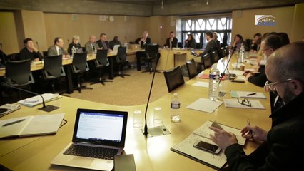 Questions à Yann MOULIER BOUTANG (Sorbonne) - avenir du travail - cese