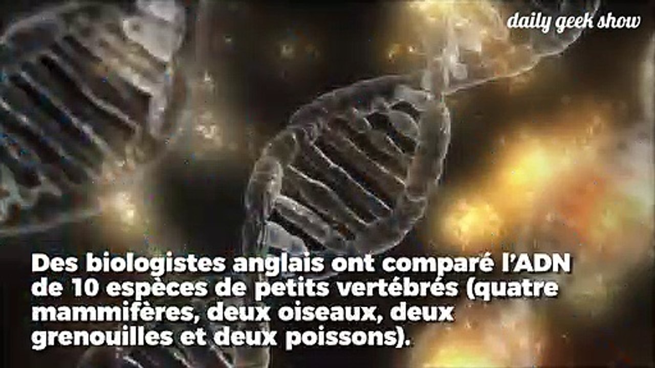 Des chercheurs auraient trouvé des modifications génétiques liées à la monogamie