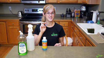 How to Treat Snake Mites (newest version!)