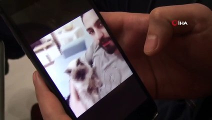 Yanlış Tedavi Yüzünden Kedisini Kaybetti, Kendini Eve Kapattı