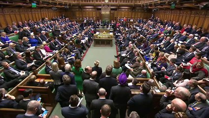 Kenneth Clarke questions Theresa May over Article 50