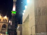 Des nuées de cafards par milliers envahissent la Mecque