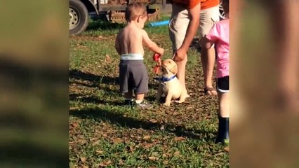 Funniest Pets  | Funny Pet Videos | Funny Animals | Funny Pet Compilation