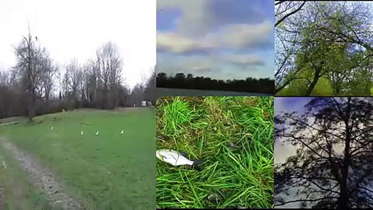 Bremervörde Famila, Strafzettel auf dem Supermarktparkplatz, wie ahnungslose Kunden abkassiert werden.