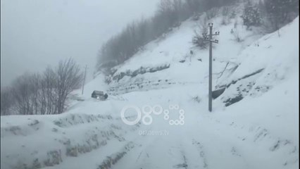 Ora News - Bien tre ortekë në Dardhë të Korçës