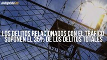6 DELITOS DE TRAFICO PENAS DE CARCEL