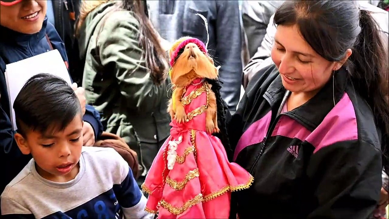 Colombianos celebran fin de carnaval con festival de cuyes