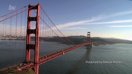 San Francisco Doggy Daycare Charging Up To $1,500 Prompts Growls From Residents