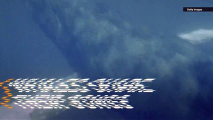 These Whales Are Sharing ‘Song Lyrics’ With Each Other