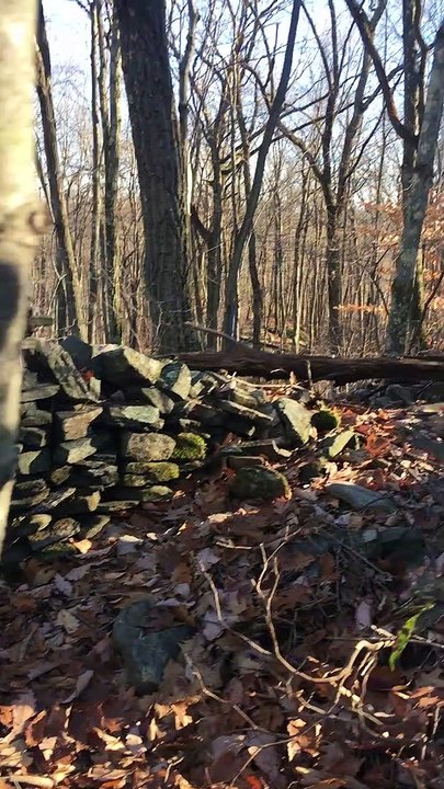 Brian Ghilliotti: Haddam, Connecticut, Lithic Site:  A Well Built Stone Wall