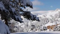 Abant beyaz örtüsüyle büyülüyor - BOLU