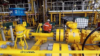 Congo- pétrole : les belles promesses du champ de Tilapia