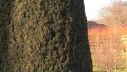 Header Gardener at Erdigg Hall!