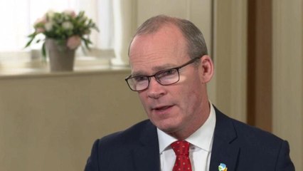 Coveney: "Nuestra única línea roja fue la de una frontera dura"