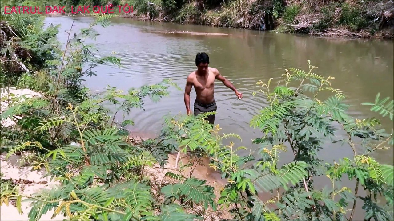 Ẩm thực VIỆT NAM - THỎ BÓP TIẾT (  VIETNAMESE FOOD - COMPLETE REMEDY)