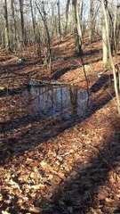 Brian Ghilliotti: Haddam, Connecticut, Lithic Site: Crude, Stone Dressing: Part of a Boundary Line?