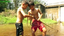 Primitive Technology - Cacth eel in water - Cooking eating delicious