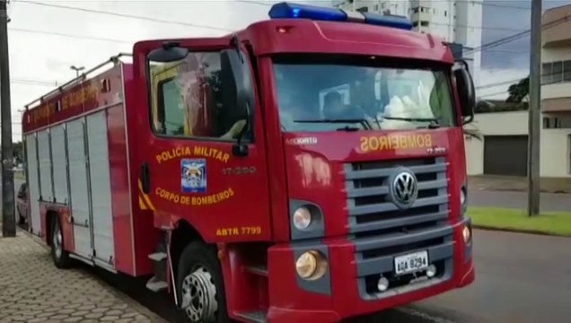 Bombeiros são mobilizados em resgate de animal