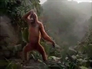 ya llego el viernes diri diri diri ole