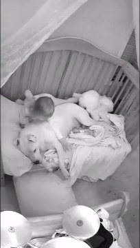 Cette fillette borde son pitbull avant de dormir