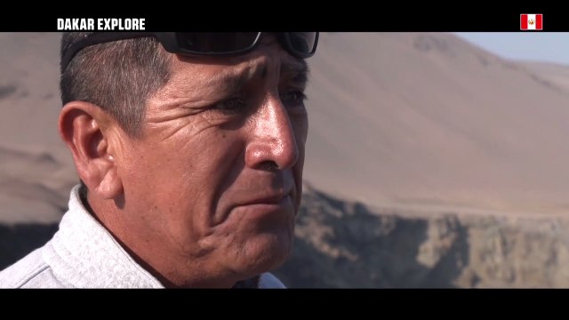 Magazine - The Peruvian wildlife - Stage 3 (San Juan de Marcona / Arequipa) - Dakar 2019