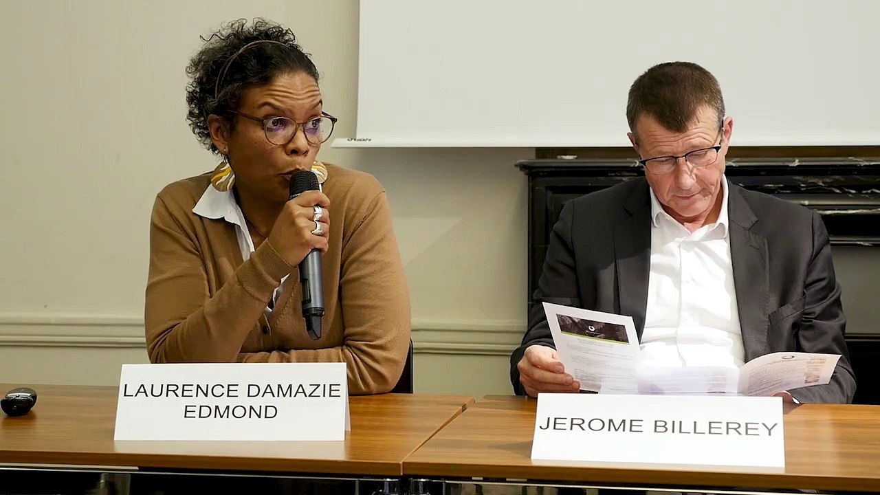 Laurence Damazie Edmond - EDF SEI