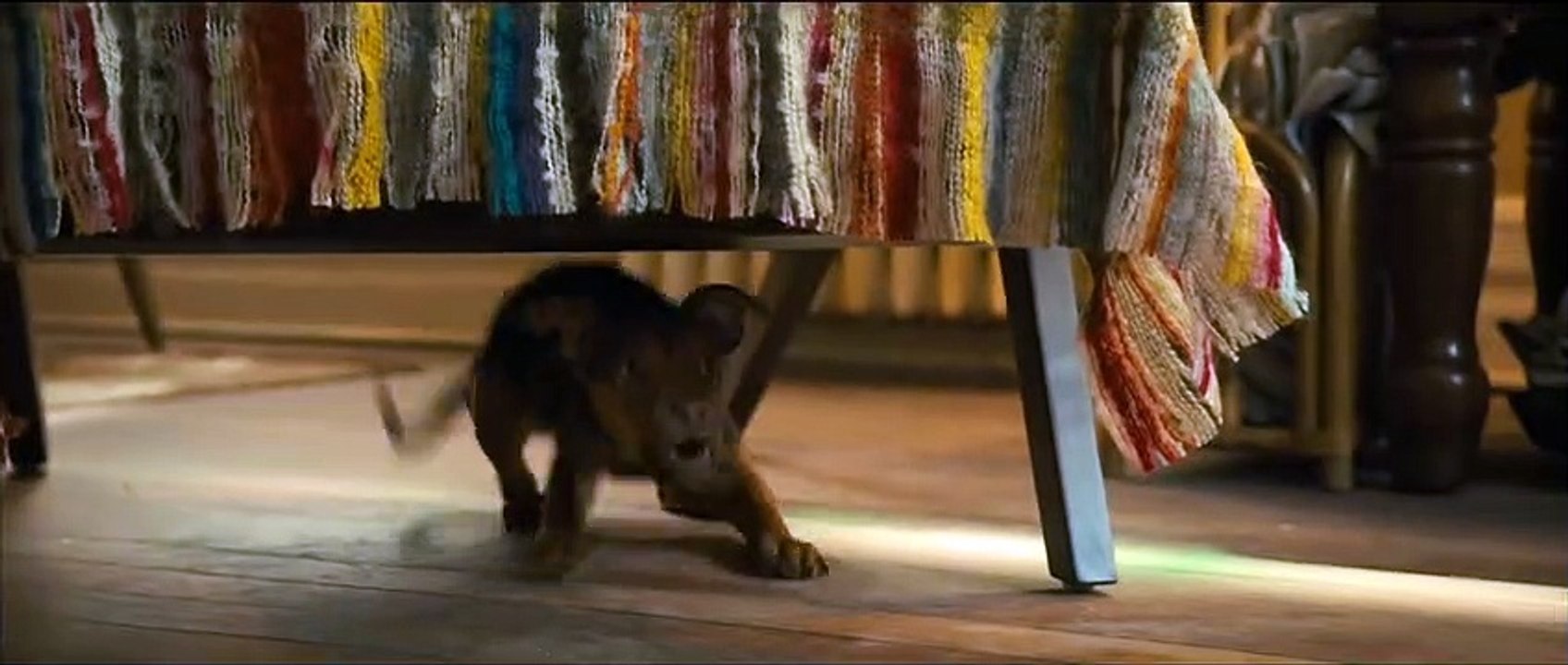 A Dog's Way Home Movie Clip - It was Love (2019) Bryce Dallas Howard Adventure Movie HD