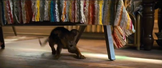 A Dog's Way Home Movie Clip - It was Love (2019) Bryce Dallas Howard Adventure Movie HD